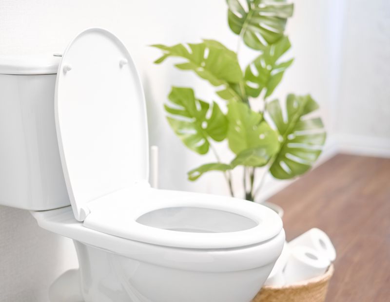 Bidet Repair Service in Denver, CO